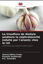Le trisulfure de diallyle améliore la néphrotoxicité induite par l'arsenic chez le rat