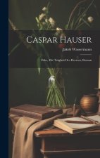 Caspar Hauser: Oder, Die Trägheit Des Herzens, Roman