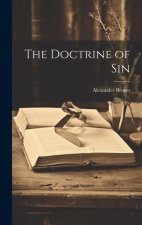 The Doctrine of Sin