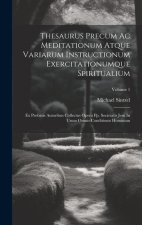 Thesaurus Precum Ac Meditationum Atque Variarum Instructionum Exercitationumque Spiritualium: Ex Probatis Autoribus Collectus Opera Pp. Societatis Jes