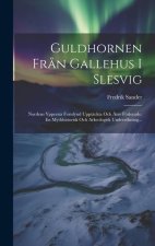 Guldhornen Fr?n Gallehus I Slesvig: Nordens Yppersta Fornfynd Upptäckta Och ?ter Förlorade. En Mythhistorisk Och Arkeologisk Undersökning...