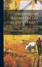 Preliminary Report On The Fire Department