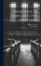 Principios De Derecho Civil Mexicano: Comentados Según Los Más Célebres Jurisconsultos, Las Leyes Antiguas Romanas Y Espan?las Y Las Ejecutorias De Lo