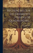 Recherches Sur Les Ossements Fossiles De Quadrup?des...