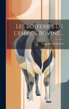 Les Boiteries De L'esp?ce Bovin?...