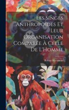 Les Singes Anthropo?des Et Leur Organisation Comparée ? Celle De L'Homme