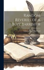 Random Reveries of a Busy Barrister
