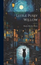 Little Pussy Willow