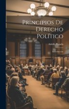 Principios De Derecho Político: Introducción