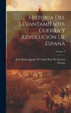 Historia Del Levantamiento, Guerra Y Revolución De Espa?a; Volume 3