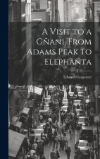 A Visit to a G?ani. From Adams Peak to Elephanta