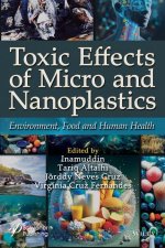 Toxic Effects of Micro- And Nanoplastics: Environment, Food and Human Health
