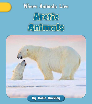Arctic Animals