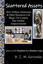 Scattered Assets: How Afrikan-Americans & Other Resources Can Shape 21st Century Pan-Afrikan Empowerment