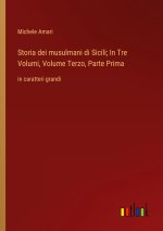 Storia dei musulmani di Sicili; In Tre Volumi, Volume Terzo, Parte Prima