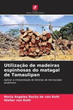 Utilizaç?o de madeiras espinhosas do matagal de Tamaulipan
