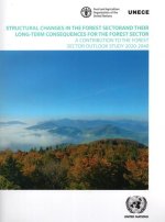 Structural Changes in the Forest Sector and Their Long-Term Consequences for the Forest Sector: A Contribution to the Forest Sector Outlook Study 2020