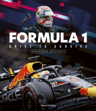 Formula 1: Túžba po víťazstve (neoficiálny sprievodca)