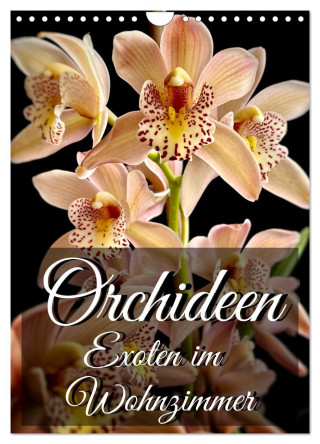 Orchideen - Exoten im Wohnzimmer (Wandkalender 2024 DIN A4 hoch), CALVENDO Monatskalender