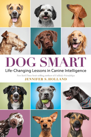 DOG SMART