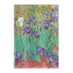 VAN GOGHS IRISES ADDRESS BK