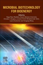 Microbial Biotechnology for Bioenergy