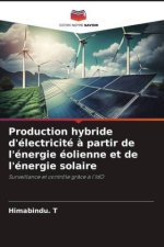 Production hybride d'électricité à partir de l'énergie éolienne et de l'énergie solaire