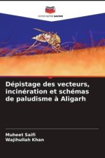 Dépistage des vecteurs, incinération et schémas de paludisme à Aligarh