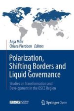 Polarization, Shifting Borders and Liquid Governance