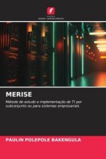 MERISE
