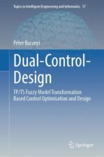 Dual-Control-Design