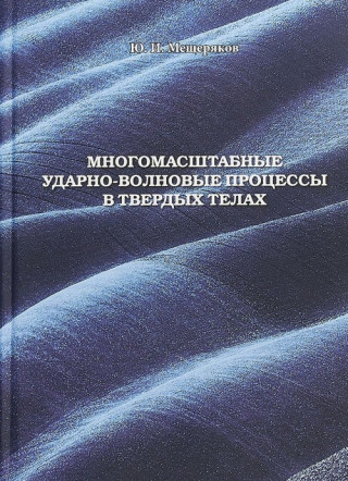 Многомасштабные ударно-волновые процессы в твердых телах