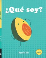 ¿QUE SOY?