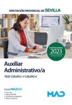 AUXILIAR ADMINISTRATIVO/A DE LA DIPUTACION PROVINCIAL DE SEV