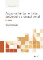 ASPECTOS FUNDAMENTALES DE DERECHO PROCESAL PENAL,