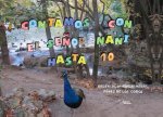 CONTAMOS HASTA 10 CON EL SEÑOR NANI