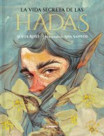 TESOROS ENCONTRADOS. HADAS