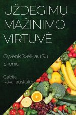 U?degim? Ma?inimo Virtuv?