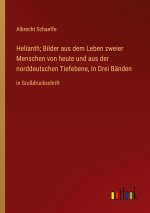 Helianth; Bilder aus dem Leben zweier Menschen von heute und aus der norddeutschen Tiefebene, In Drei Bänden