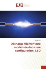 Décharge filamentaire modélisée dans une configuration 1.5D