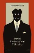 David Levinskynin Yükselisi