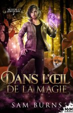 Dans l'oeil de la magie