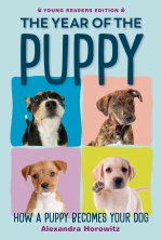YEAR OF THE PUPPY