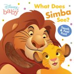 DISNEY BABY WHAT DOES SIMBA SEE