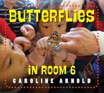 BUTTERFLIES IN ROOM 6 SEE HOW THEY GROW