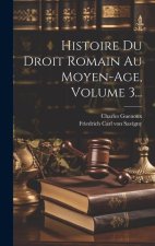 Histoire Du Droit Romain Au Moyen-age, Volume 3...