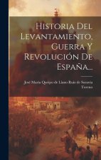 Historia Del Levantamiento, Guerra Y Revolución De Espa?a...