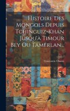 Histoire Des Mongols Depuis Tchinguiz-khan Jusqu'? Timour Bey Ou Tamerlan...