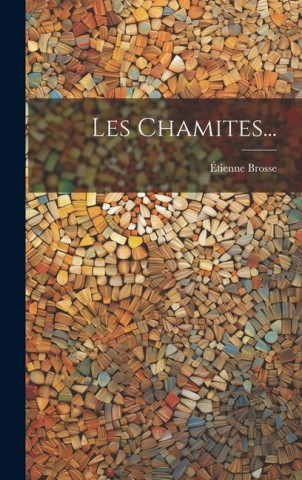 Les Chamites...