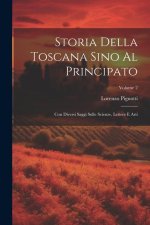 Storia Della Toscana Sino Al Principato: Con Diversi Saggi Sulle Scienze, Lettere E Arti; Volume 2